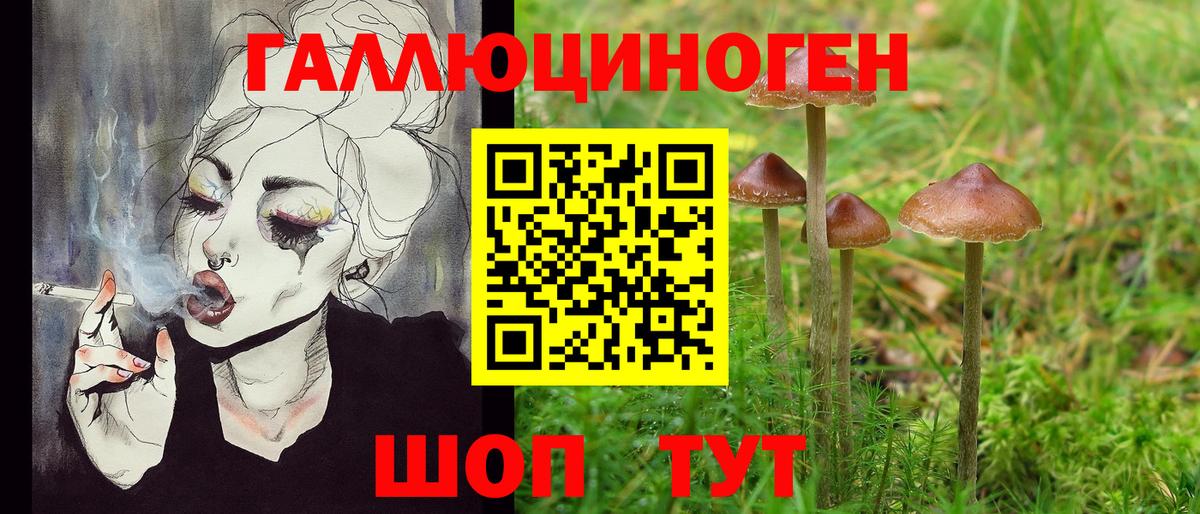 Галлюциногенные грибы GOLDEN TEACHER  Вход с VPN  Благовещенск 