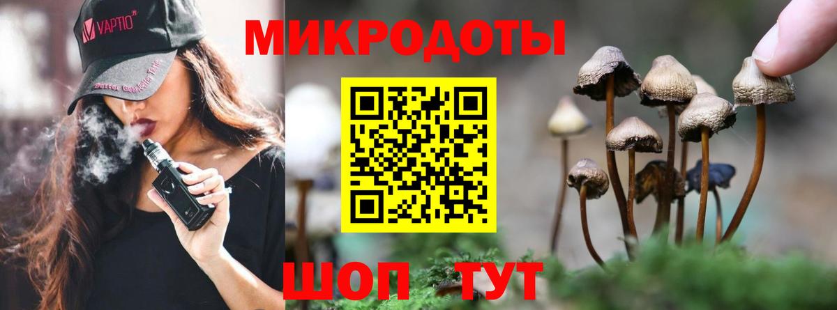 Галлюциногенные грибы GOLDEN TEACHER Благовещенск